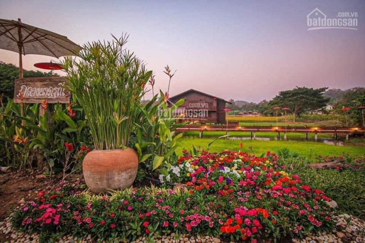 Farmstay Rất Rất đẹp 11000 M2, Quy Hoạch đất ở 100%, Giá Chỉ 56 Tỷ 1