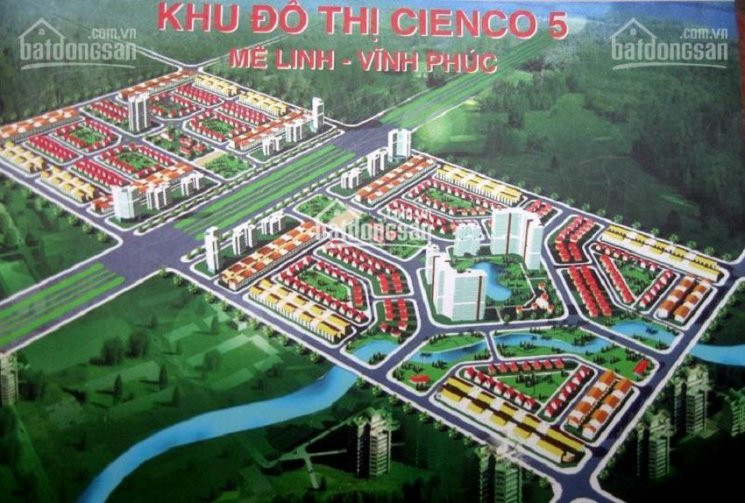 Mê Linh đất Nền Liền Kề Biệt Thự Dự án Cienco 5 Giá Tốt 3