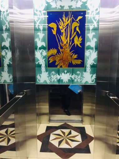 Nhà Nguyễn Phúc Lai 6 Tầng Thang Máy- Ngõ Thông - Phân Lô Vip đống đa - Hai Mặt Thoáng  1