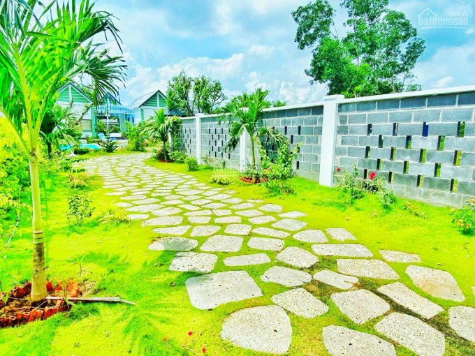 Nhà Vườn Gần Biển Phước Hải, Vừa ở Vừa đầu Tư Hoặc Cho Thuê đều Hợp Lí, Dt 7x70m, Shr 3