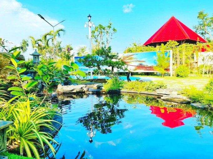 Nhà Vườn Gần Biển Phước Hải, Vừa ở Vừa đầu Tư Hoặc Cho Thuê đều Hợp Lí, Dt 7x70m, Shr 5