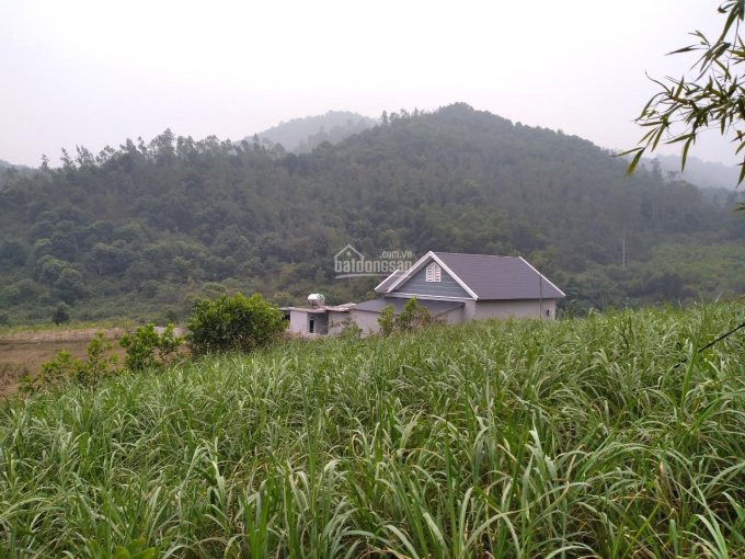 Nhanh Tay Sở Hữu Ngay Lô đất Nghỉ Dưỡng Tại Yên Bài, View Núi Tuyệt đẹp, Hơn Tỉ Giá Cực Yêu Thương 2