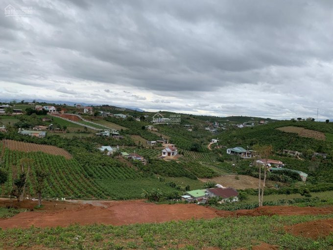 View đẹp,pháp Lý An Toàn,vị Trí Tốt, Giá đầu Tư, Tp Bảo Lộc Năm Tân Sửu 6