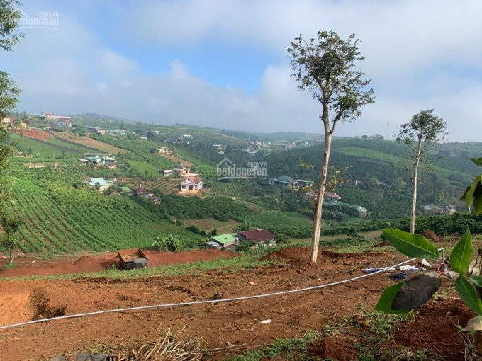 View đẹp,pháp Lý An Toàn,vị Trí Tốt, Giá đầu Tư, Tp Bảo Lộc Năm Tân Sửu 7