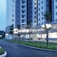 Bán Căn Hộ Conic Riverside Q8,50m2,1pn+1, Giá 148 Tỷ, Nhận Nhà Ngay