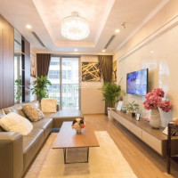 Chính Chủ Bán Gấp Căn Hộ 83m2, View Thoáng đẹp, Tại Times City Giá Chỉ 295 Tỷ, Bao Phí