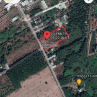 Chính Chủ Bán Nhanh đất Mt đường Nhựa Cách Ql51 100m, Xã Long Phước, Long Thành, đồng Nai 5100m2 Giá 30tỷ