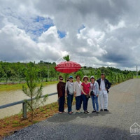 Chính Chủ Bán Nhanh đất Nền Bảo Lộc Park Hill4f, Khu đất đẹp Hót ơi Là Hót Quý Vị ơi