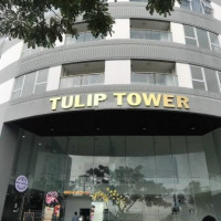 Chính Chủ Cần Bán Ch Tulip Tower Q7 Giá Chỉ 25tr/m2, Tt Theo Tiến độ Cđt Bank Hỗ Trợ Vay 70%, Lh 0909904543