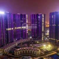 Chính Chủ Cho Thuê Ch 2-3pn Full đồ Nội Thất Tại Dự án Sunshine City View Sông Hồng, Lh 0962 415563