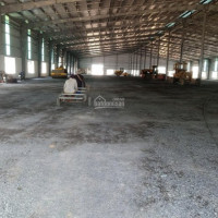 Chính Chủ Cho Thuê Nhanh Kho Xưởng Mới Xây Diện Tích Từ 1000m2 đến 13000m2 Trong Cụm Công Nghiệp Tam Phước