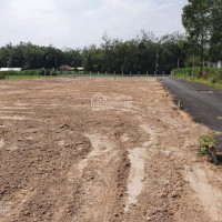 Chủ Bán 3500m2 Ngay Chợ Và Khu Công Nghiệp, Gia đình Cần Tiền Bán Gấp 350 Triệu