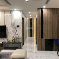 (for Rent) Cho Thuê Căn Hộ Ciputra Giá Từ 10 Triệu đồng/th