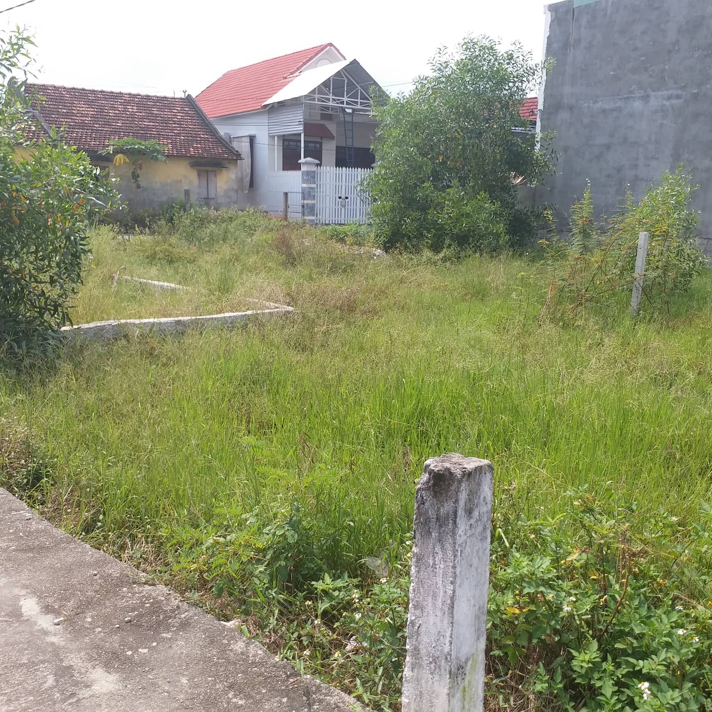 Bán đất thôn Tây, Vĩnh Phương, gần TTTP, giá rẻ 4