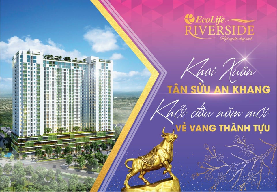 Căn hộ Ecolife riveriside, 1,2 Tỷ/Căn 2PN, Ck 12% 3