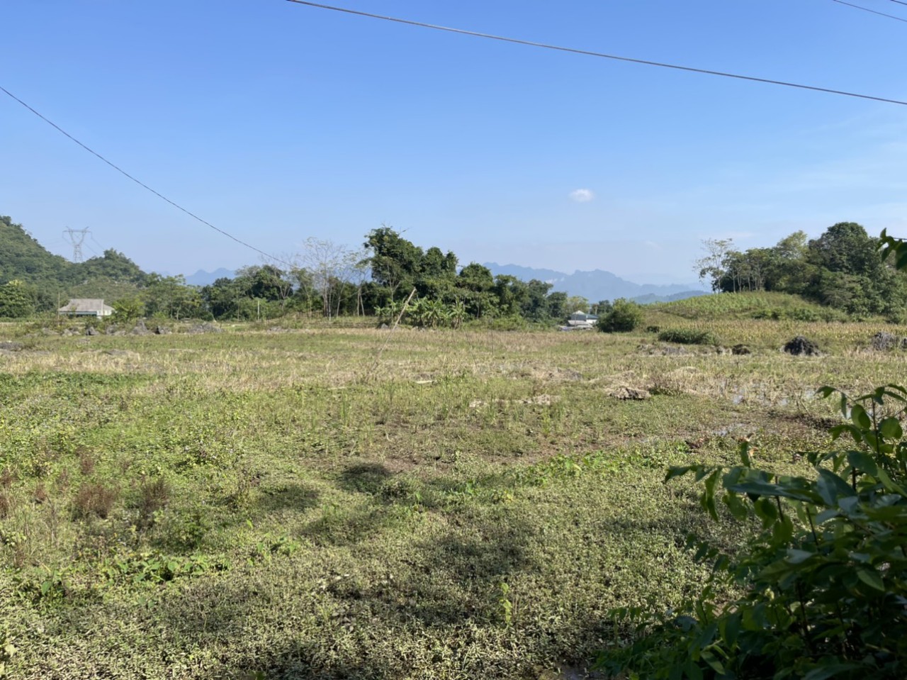 Cần bán Đất Xã Phú Cường, Tân Lạc, Diện tích 850m², Giá 550 Triệu - LH: 0968729955