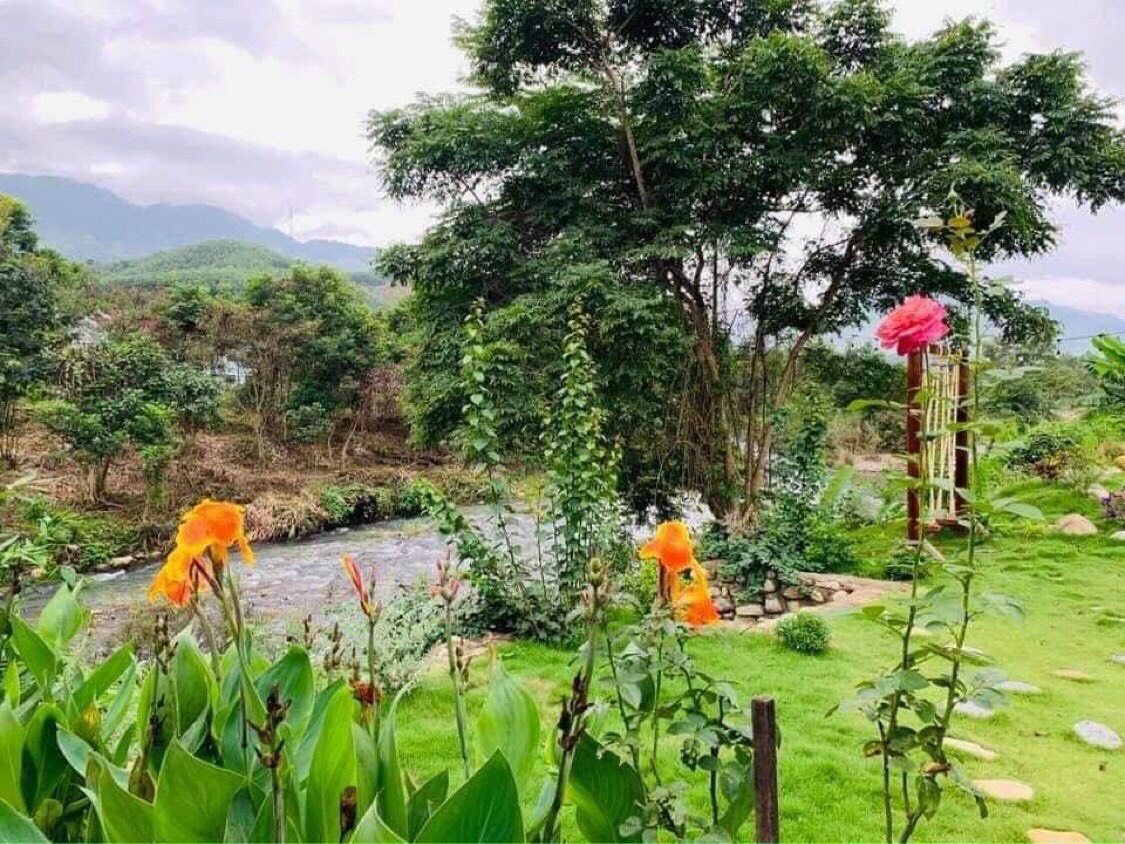 Cần bán Homestay - Khách Sạn đường 2, Xã Khánh Thành, Diện tích 5674m², Giá 3.5 Tỷ - LH: 0905724084 6