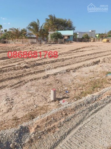 Bán lô đất thổ cư 100% ở Hộ Hải , gần quốc lộ 1A , sổ hồng riêng , giá chỉ 299 triệu 3