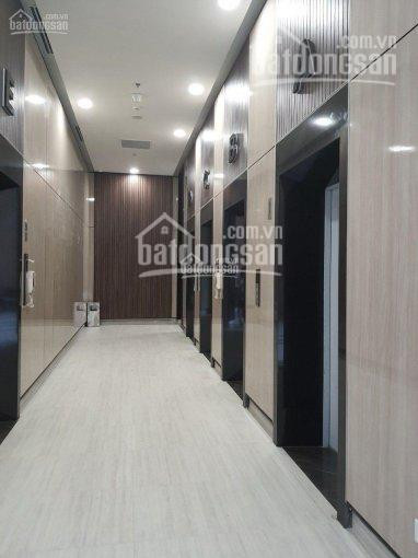 Bán Nhanh Căn Hộ 65m2, Lavida Plus,bàn Giao Thô, Chính Chủ Lh 0705888879 6