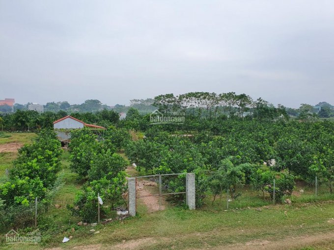 Bán Trang Trại Xã Sài Sơn, Huyện Quốc Oai, Thành Phố Hà Nội 1