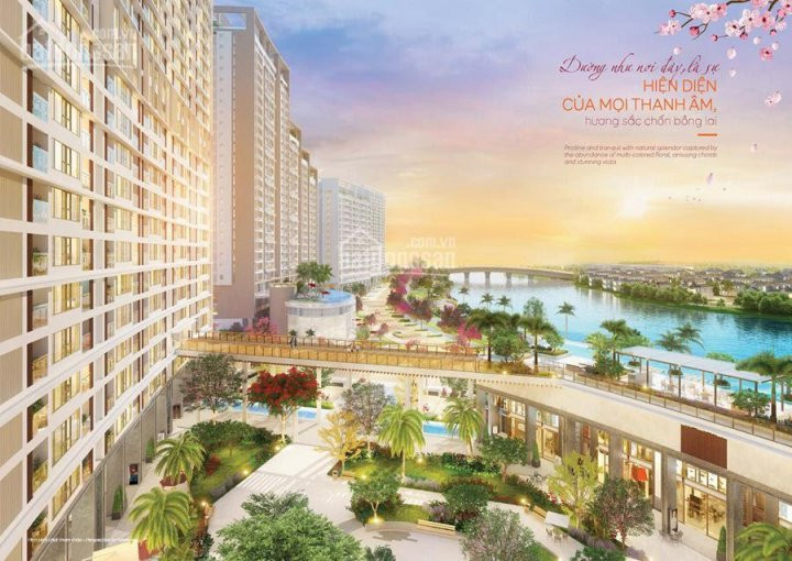 Chính Chủ Bán Nhanh Căn Hộ Midtown Giá Gốc Cđt Chỉ Cần Thanh Toán 1,2 Tỷ đến Nhận Nhà, Gọi Ngay 0902 48 74 79 3