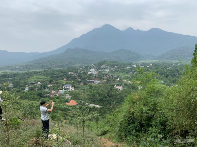 Chính Chủ Cần Chuyển Nhượng 3 Ha đất Làm Sinh Thái Nghỉ Dưỡng Tại Ba Vì Hà Nội 6