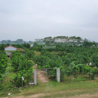Bán Trang Trại Xã Sài Sơn, Huyện Quốc Oai, Thành Phố Hà Nội