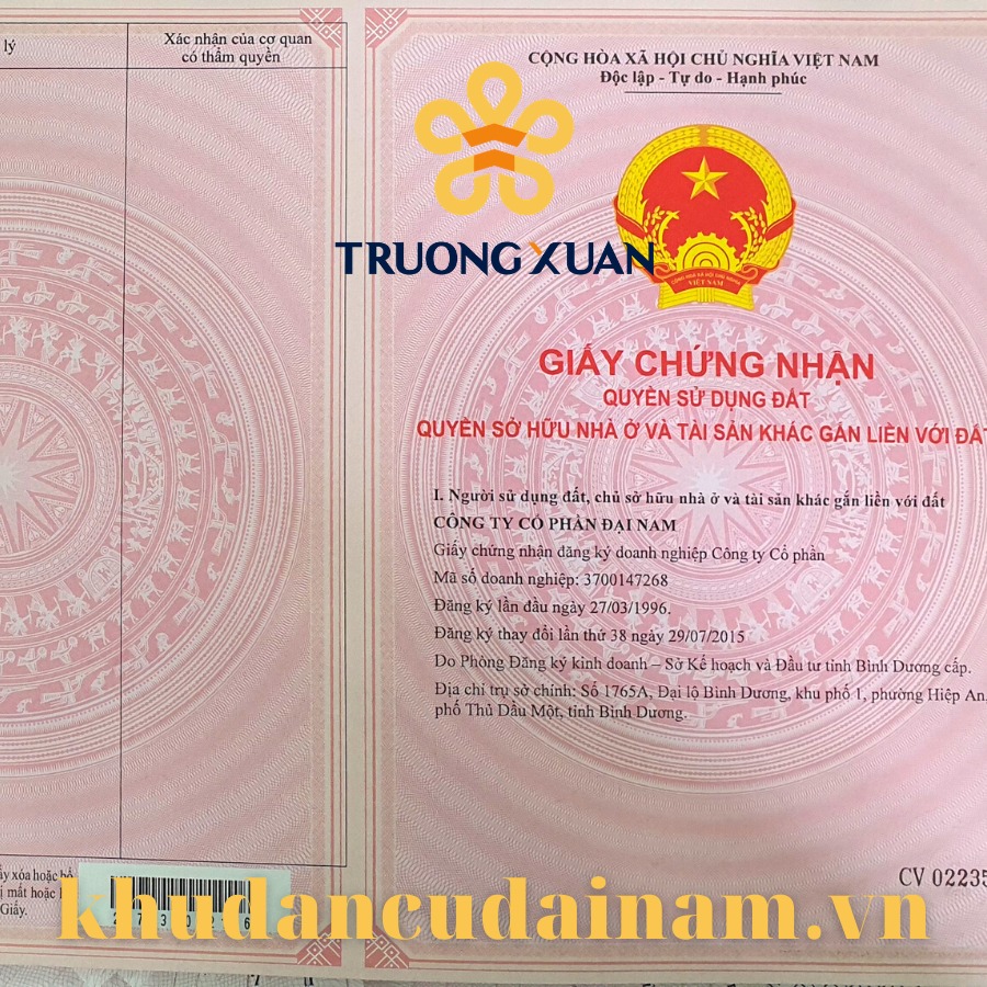 CEO Nguyễn Phương Hằng vợ ông Dũng Lò Vôi mở bán đất nền dự án đại nam 3