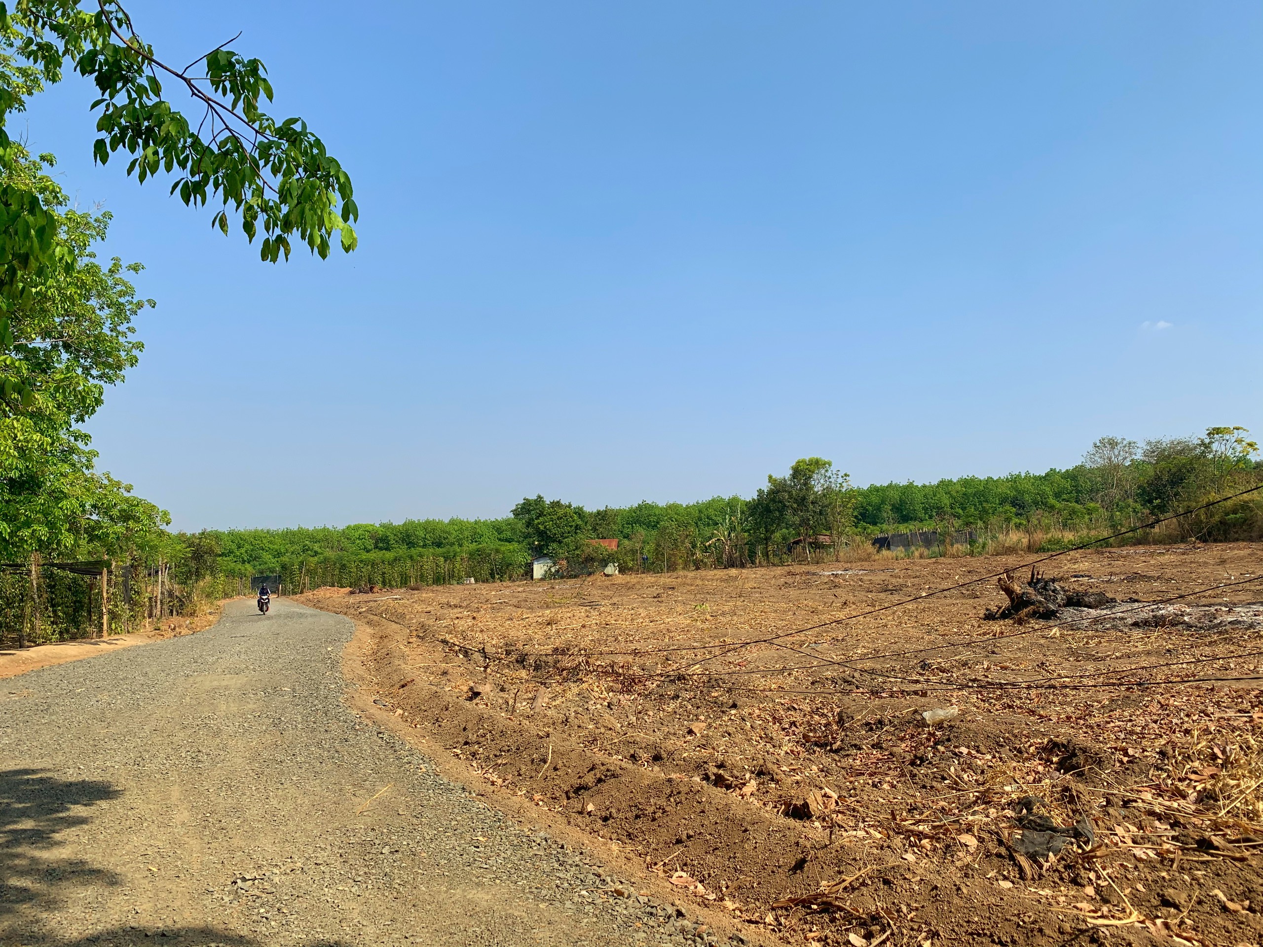 Đất đẹp ngay KCN Lộc Ninh 15x66 đường nhựa rộng 7m