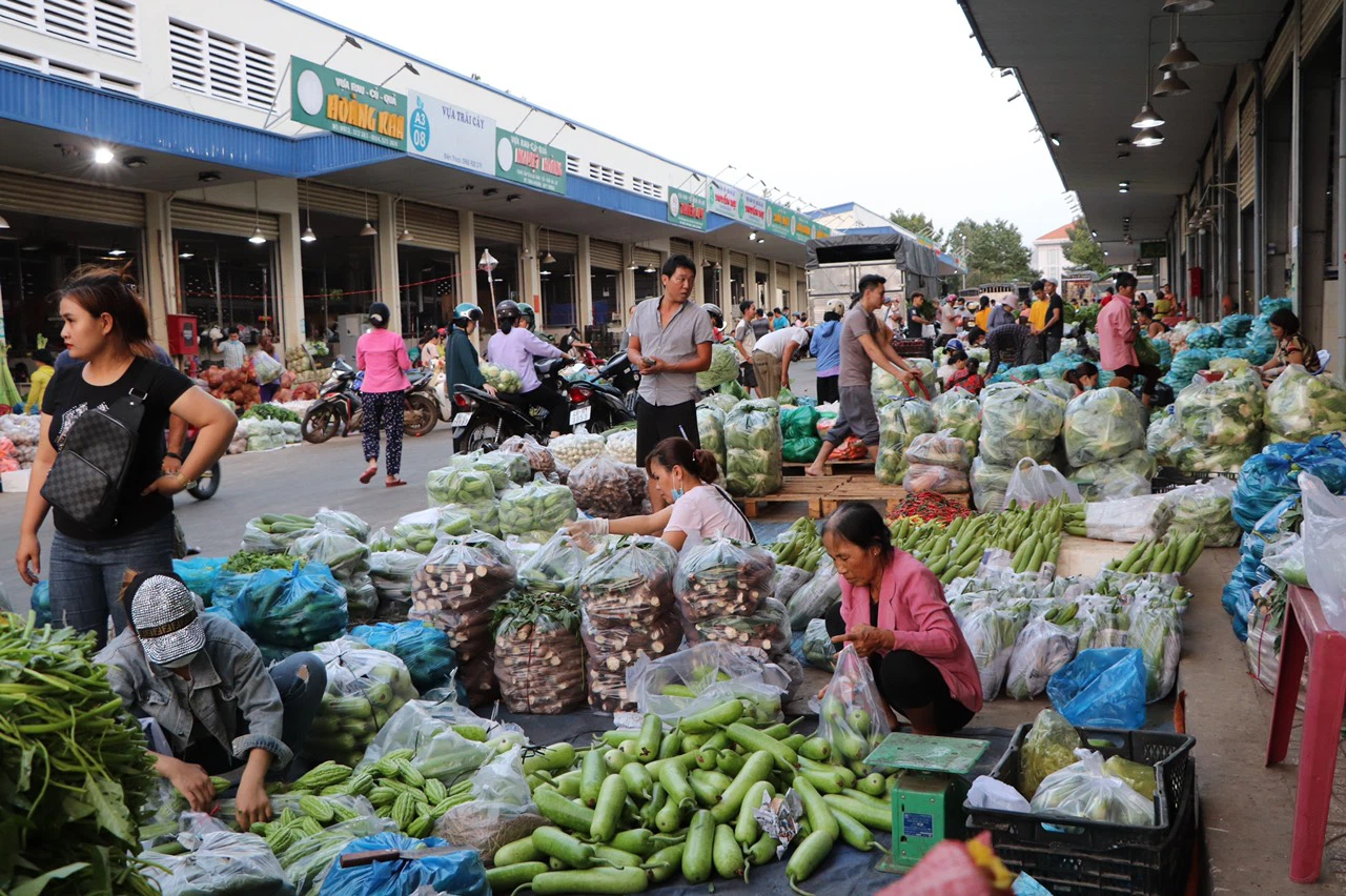 CHÍNH CHỦ BÁN LỖ 5000M2, THỔ CƯ, SHR, ĐỐI DIỆN KCN CỔNG 3,4 KCN BECAMEX, DÂN ĐÔNG, 370TR 3