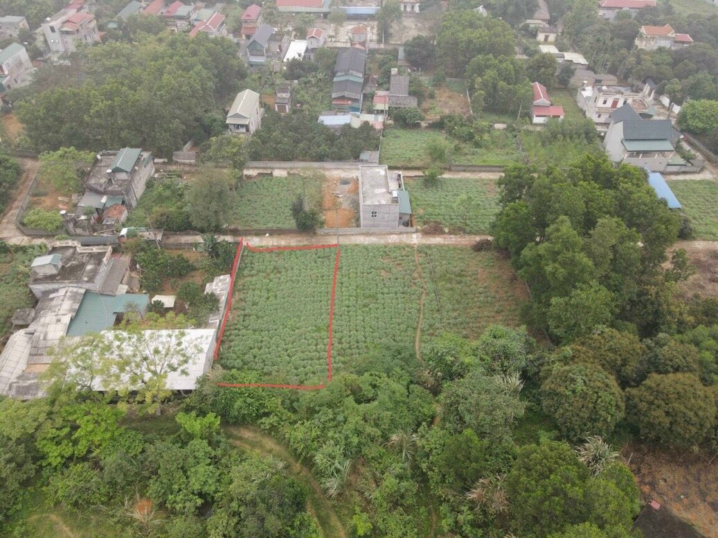 Cần bán Đất Xã Lâm Sơn, Lương Sơn, Diện tích 428m², Giá Thương lượng - LH: 0966628114 3