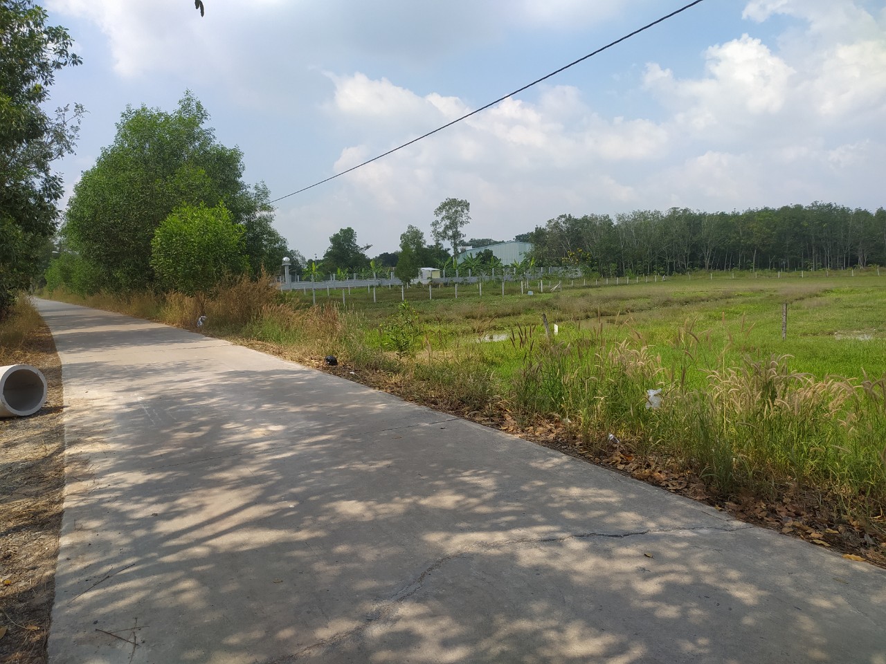 Cần bán Đất đường Nguyễn Thị Rành, Xã Nhuận Đức, Diện tích 500m², Giá Thương lượng