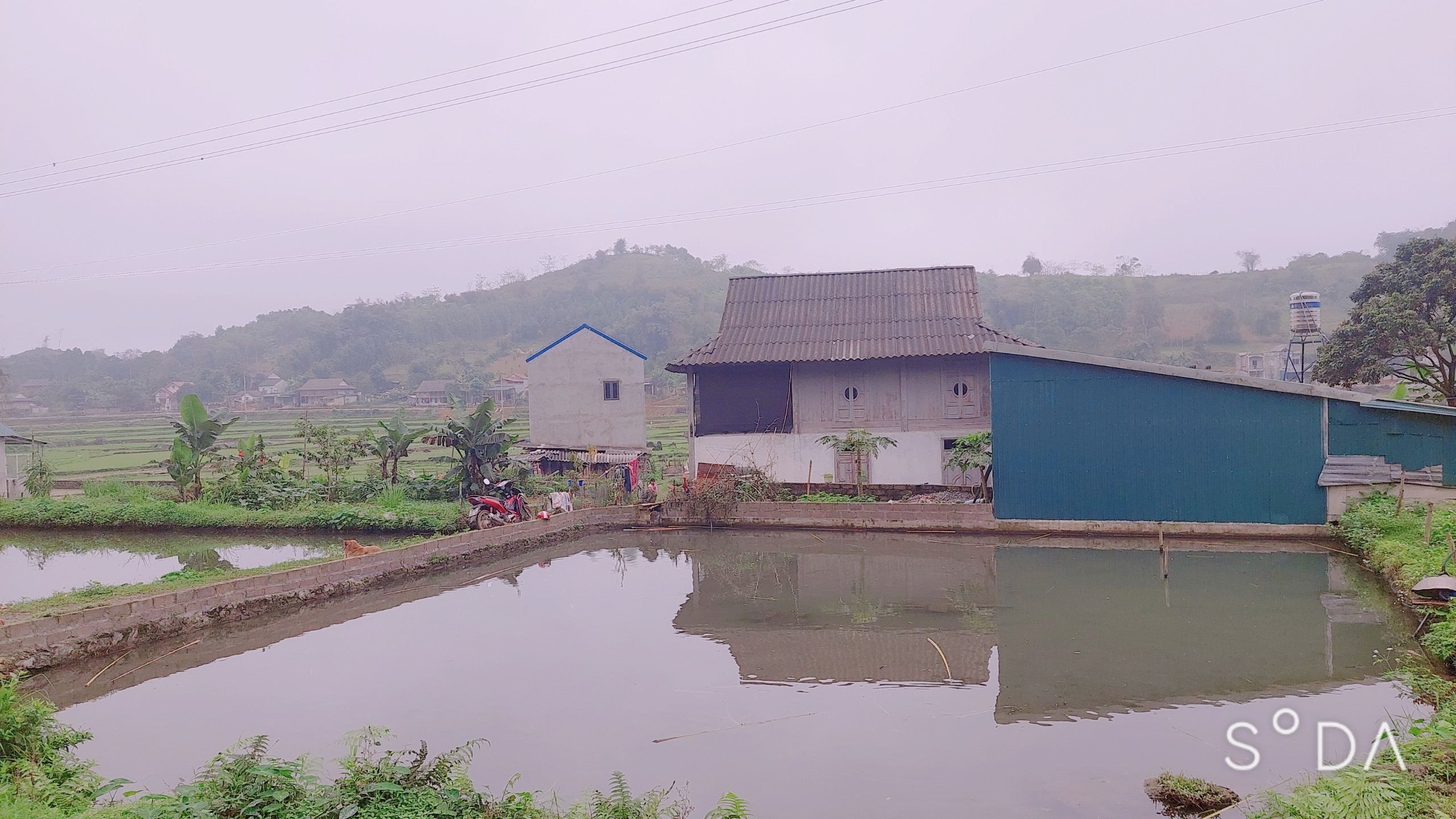 Chính chủ cần bán Gấp 3162m bám đường 100m view đẹp Phú Cường Tân Lạc Hoà Bình 3