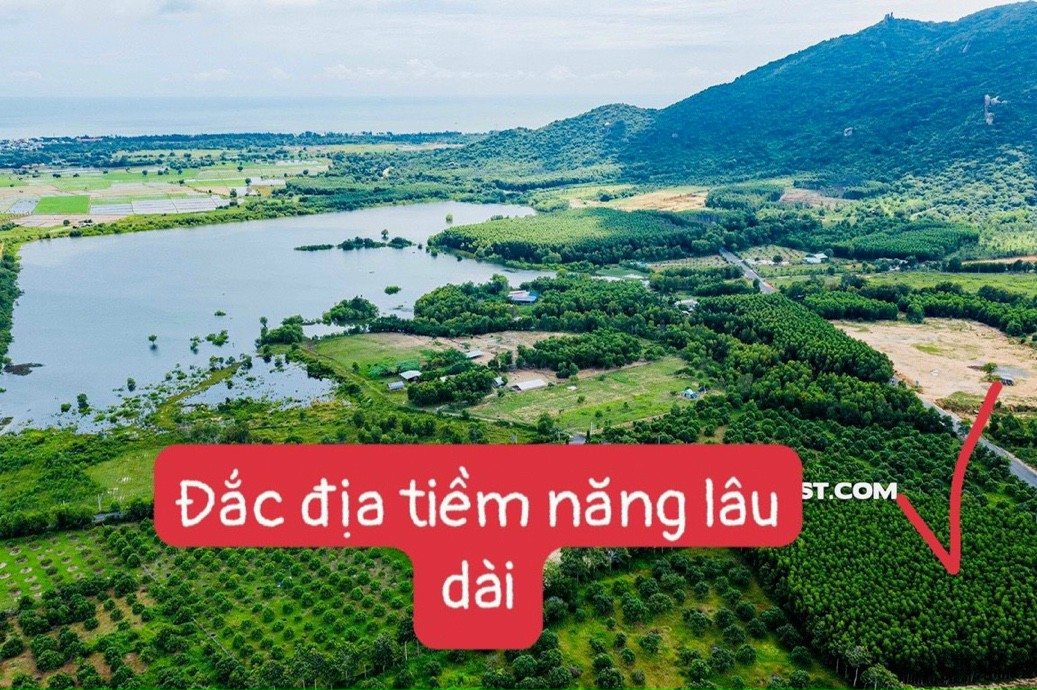 Cần bán Đất đường 55, Thị trấn Phước Hải, Diện tích 1000m², Giá Thương lượng - LH: 0796142581 3