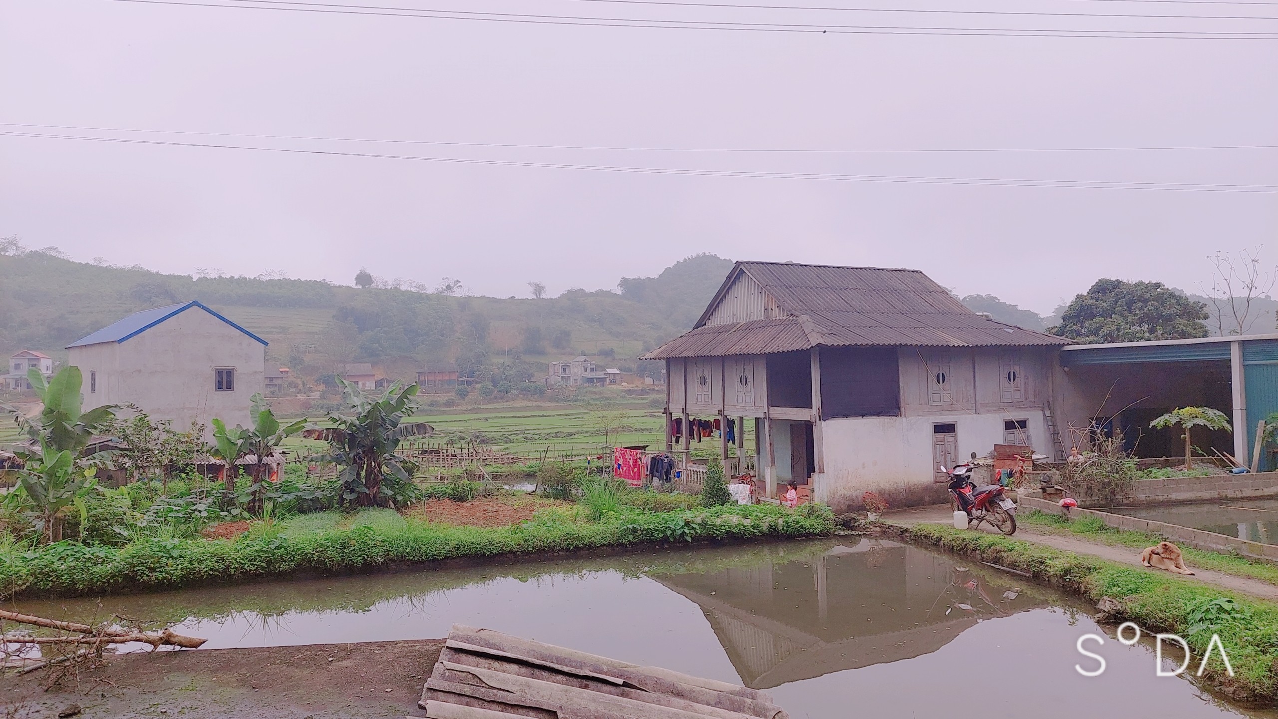 Chính chủ cần bán Gấp 3162m bám đường 100m view đẹp Phú Cường Tân Lạc Hoà Bình 4