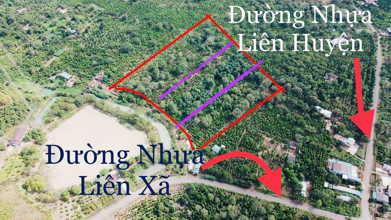Cần bán Đất Xã Quảng Hiệp, Cư M'gar, Diện tích 1000m², Giá 268 Triệu - LH: 0972838411 6