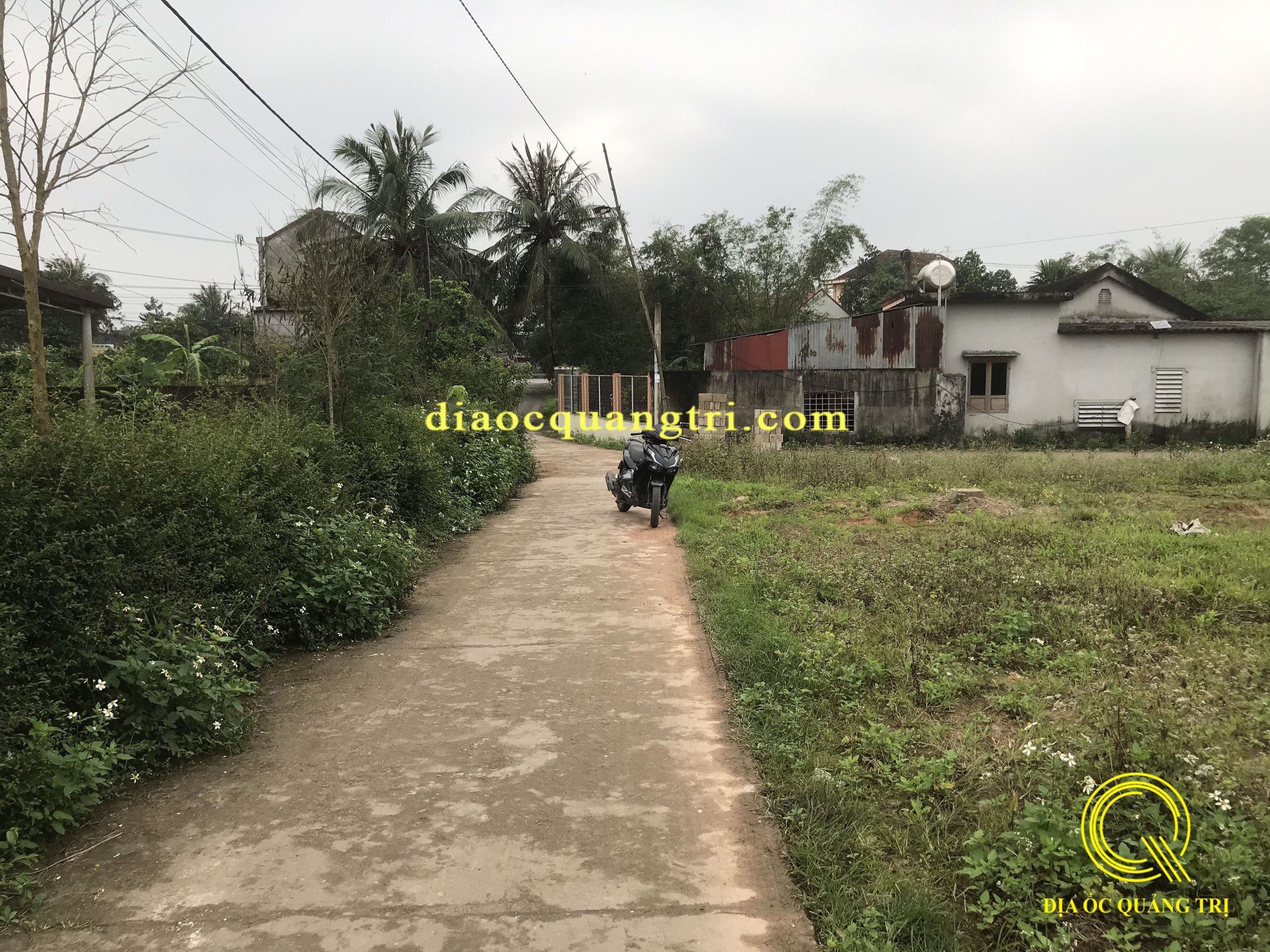 Cần bán Đất đường Quốc lộ 1A, Xã Triệu Giang, Diện tích 194m², Giá 0 Triệu - LH: 0846661456