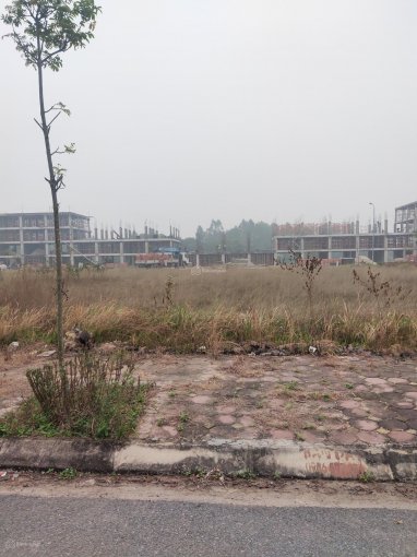 Cần bán Đất nền dự án dự án Khu đô thị mới phường Xuân Hòa, Diện tích 125m², Giá 18 Triệu/m² 2