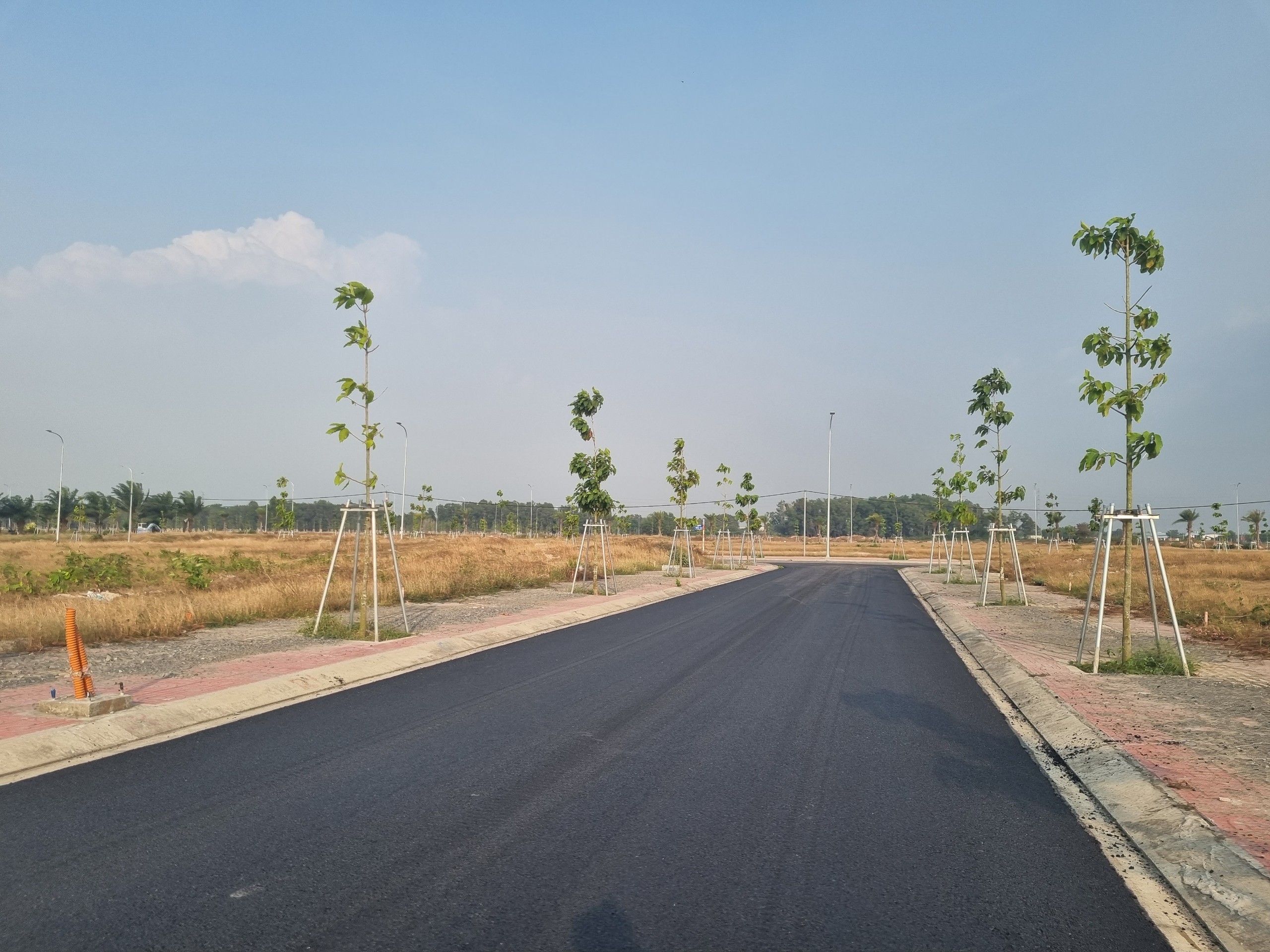Cần bán Đất nền dự án đường 25C, Xã Phú Hội, Diện tích 100m², Giá 1.15 Tỷ 2