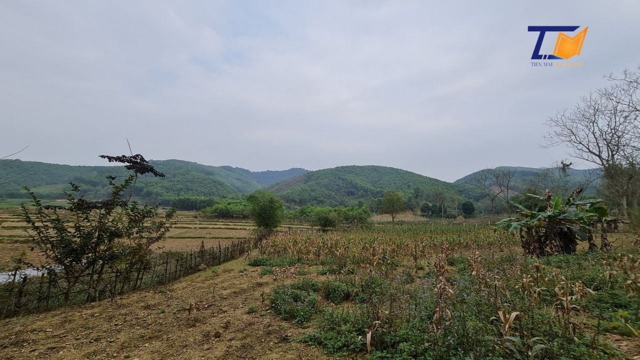 Cần bán Đất Xã Yên Sơn, Thanh Sơn, Diện tích 4500m² có 400m2 Thổ Cư LH: MR Tiến 2
