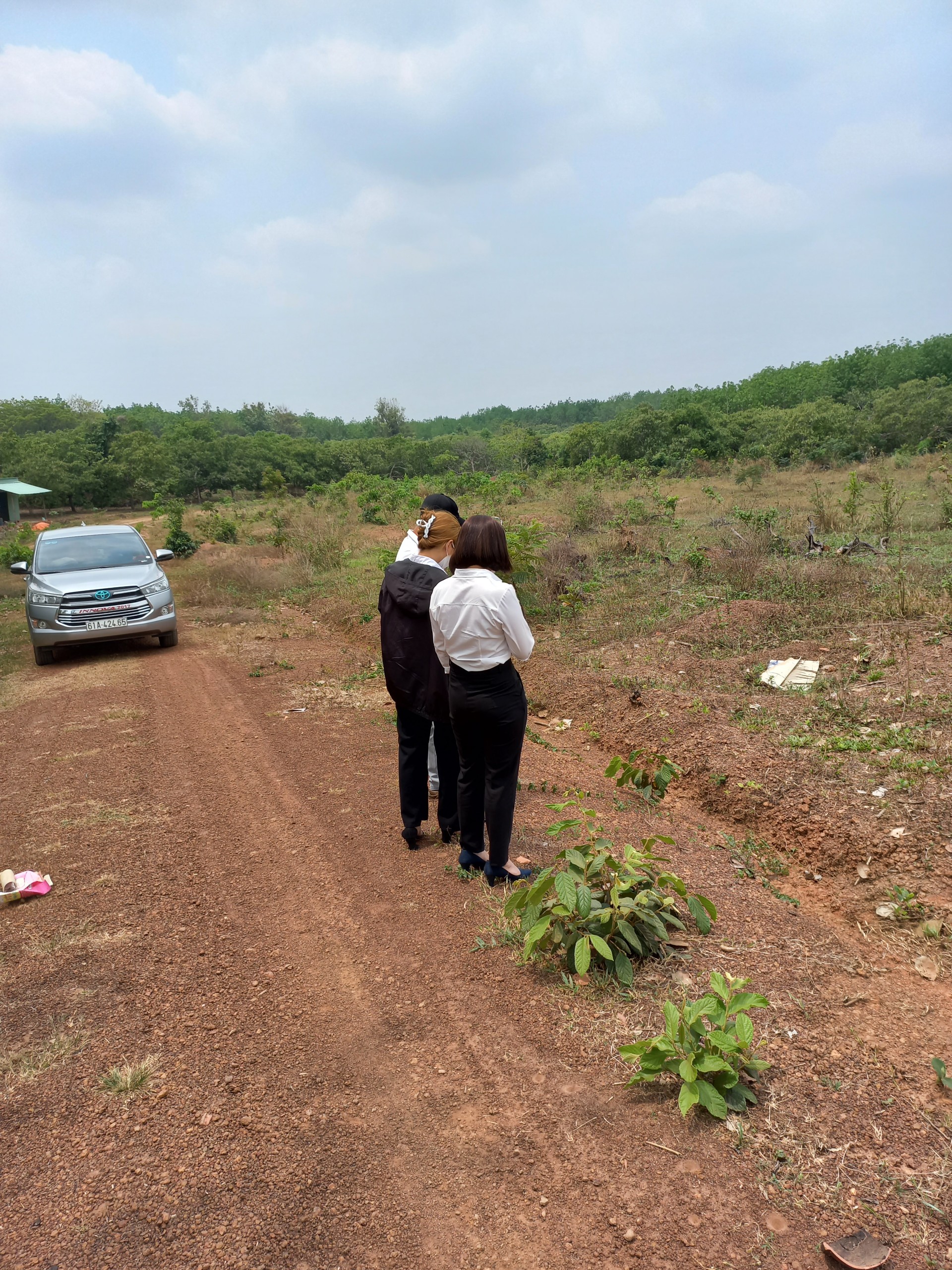 Cần bán Đất đường Quốc Lộ 13, Xã Lộc Thạnh- Lộc Ninh, Diện tích 1.000m², Giá 439 Triệu - LH: 0946370600