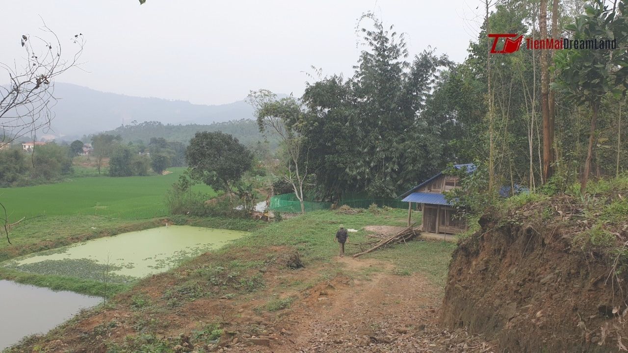 Cần bán Đất Xã Giáp Lai, Thanh Sơn, Diện tích 4000m², Giá Thương lượng - LH: 0586229999 3