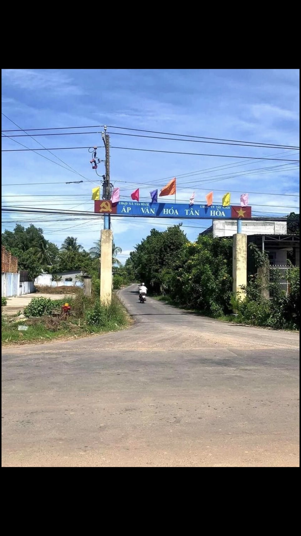 Cần bán Đất đường Trần Văn Trà, Xã Tân Bình, Diện tích 150m², Giá 520 Triệu - LH: 0964018015