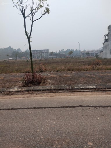 Cần bán Đất nền dự án dự án Khu đô thị mới phường Xuân Hòa, Diện tích 125m², Giá 18 Triệu/m² 3