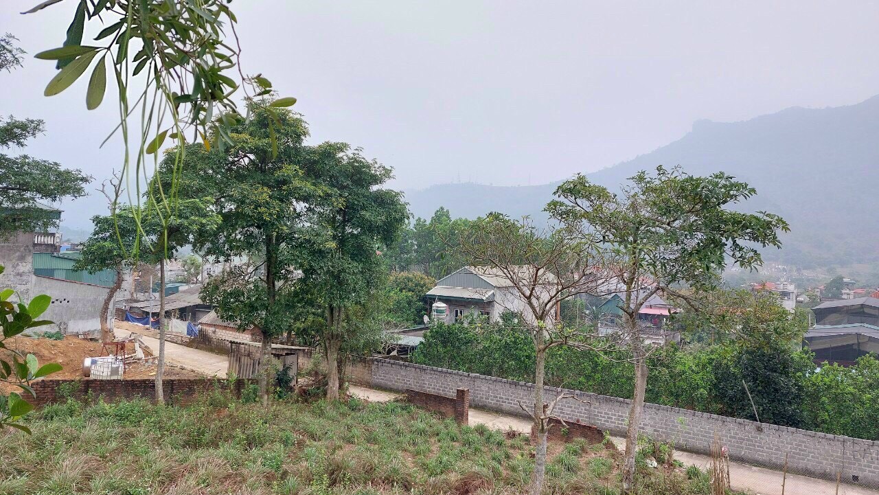 Cần bán Đất Xã Lâm Sơn, Lương Sơn, Diện tích 428m², Giá Thương lượng - LH: 0966628114 5