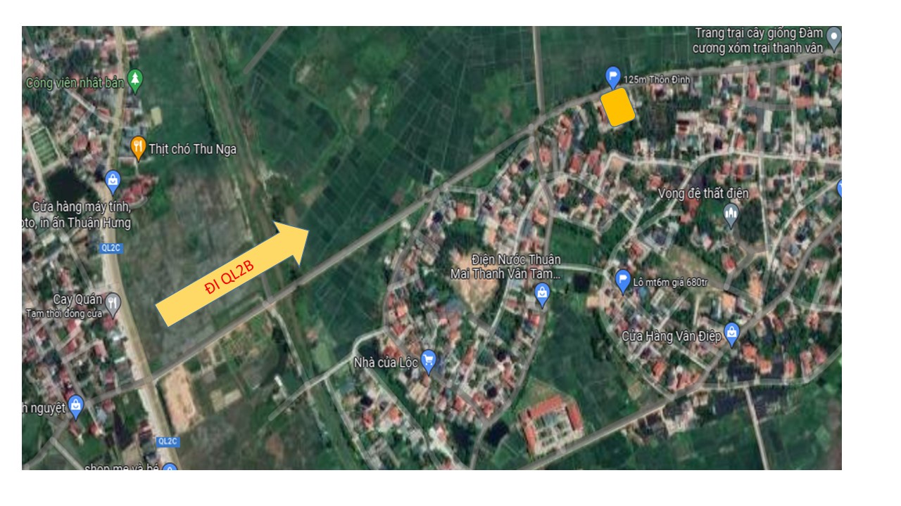 Cần bán Đất Tam Dương, Vĩnh Phúc, Diện tích 125m², Giá 1250 Triệu