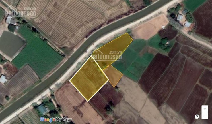Cần bán 2 lô đất nông nghiệp đang trồng lúa xã Hộ Hải - Ninh Hải - Ninh Thuận 2