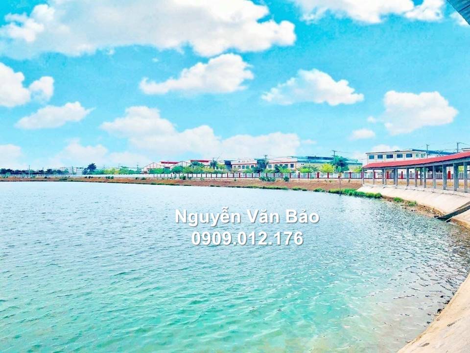 Ngân hàng Hỗ trợ vay_Thông Báo Thanh Lý 20 Nền Đất_giá 15tr/m2 5