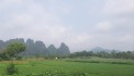 Chủ cần bán mảnh đất nghỉ dưỡng tại Lương Sơn diện tích 3000m2 view cánh đồng, gía chỉ hơn 500 nghìn 1 m 6