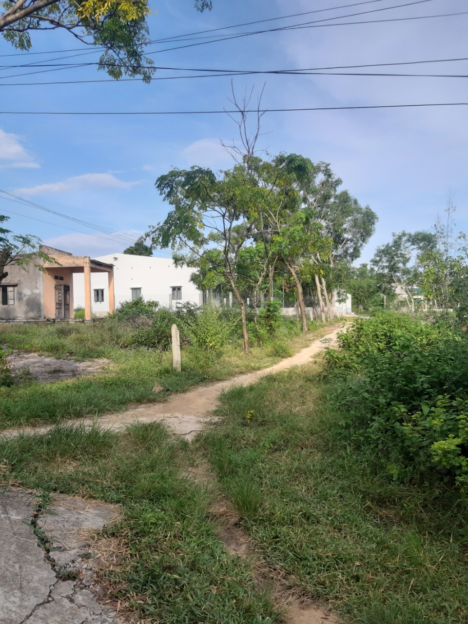 Cần bán Đất đường Lê Minh Công, Xã Tân Phước, Diện tích 1774m², Giá 10.92 Tỷ - LH: 0988609571 4
